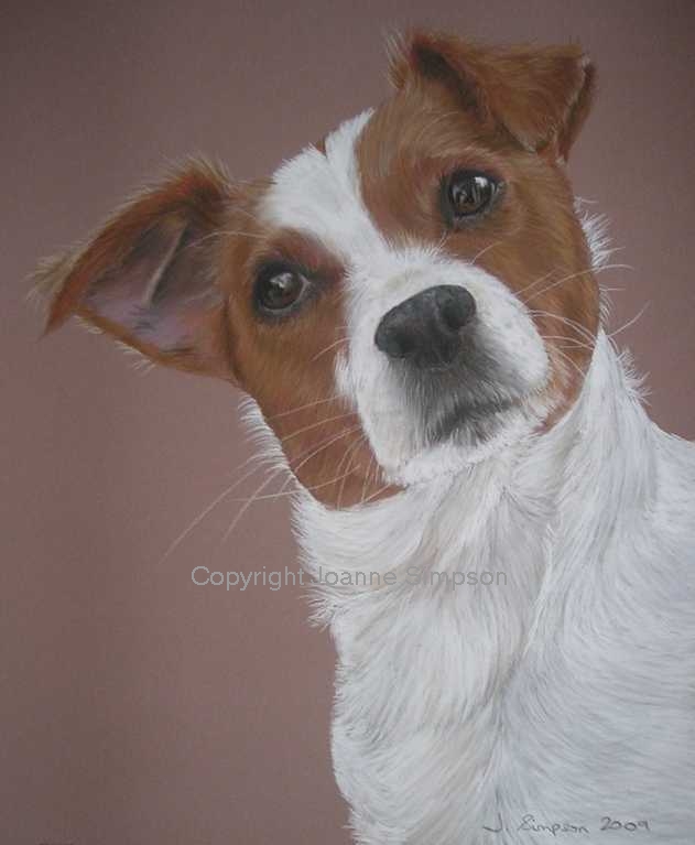 Jack Russell portrait by Joanne Simpson